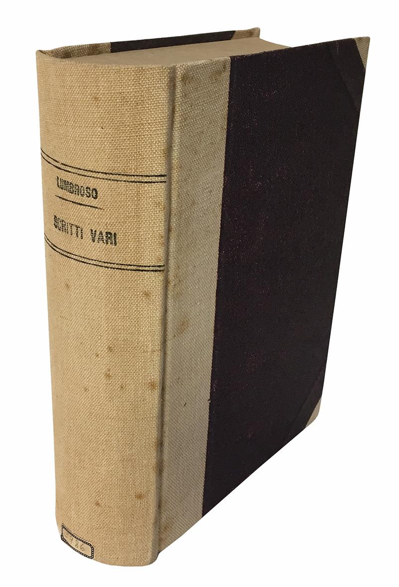 Scaramucce e avvisaglie: saggi storici e letterari di un bibliofilo: …