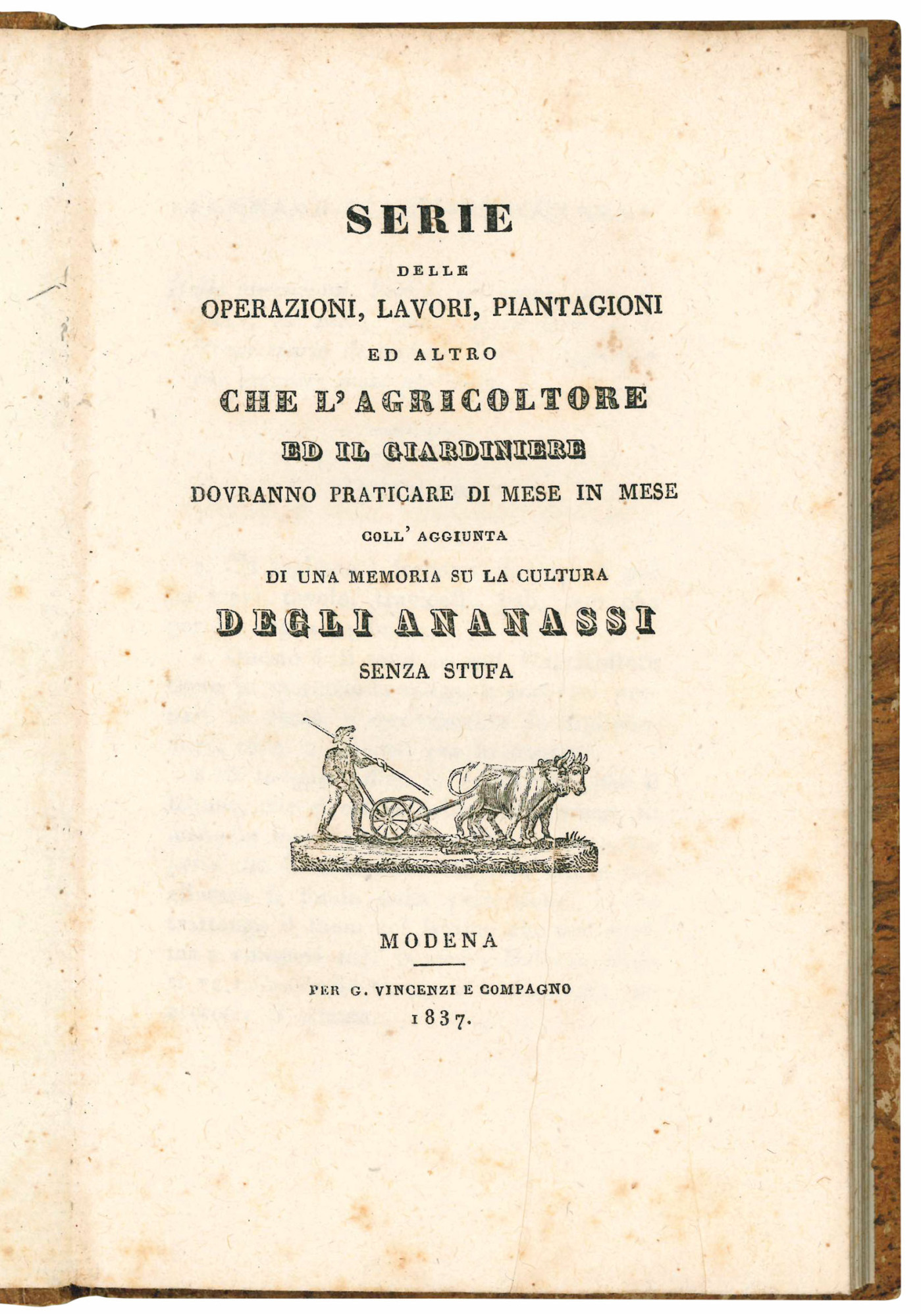 Serie delle operazioni, lavori, piantagioni ed altro che l'agricoltore ed …
