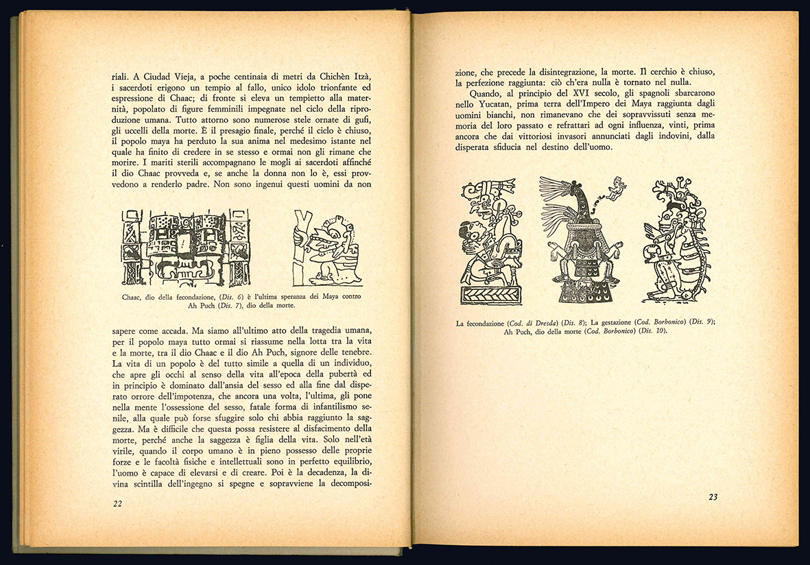 Terra Maya.