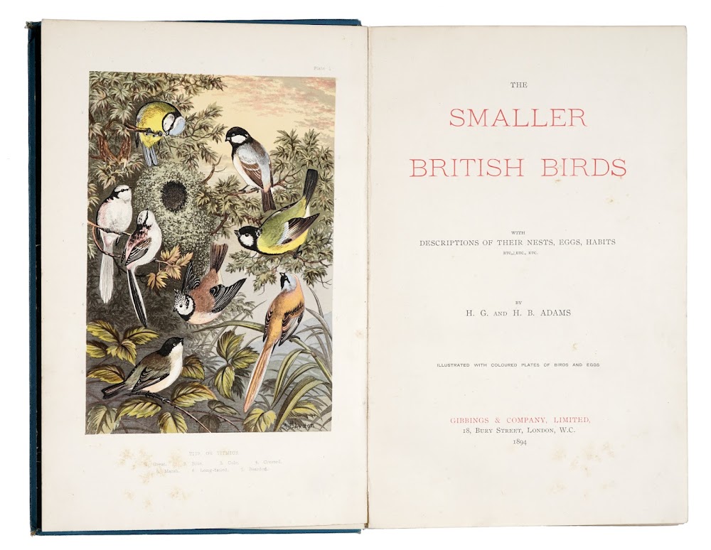 The Smaller British Birds