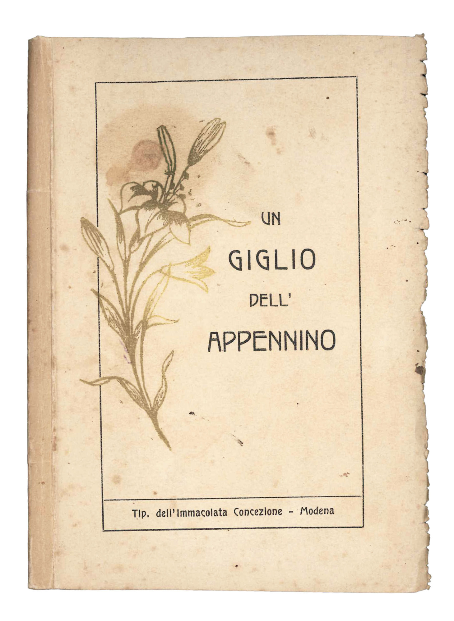 Un giglio dell'Appennino. Breve biografia del giovanetto Igino Bazzani (1903-1919).