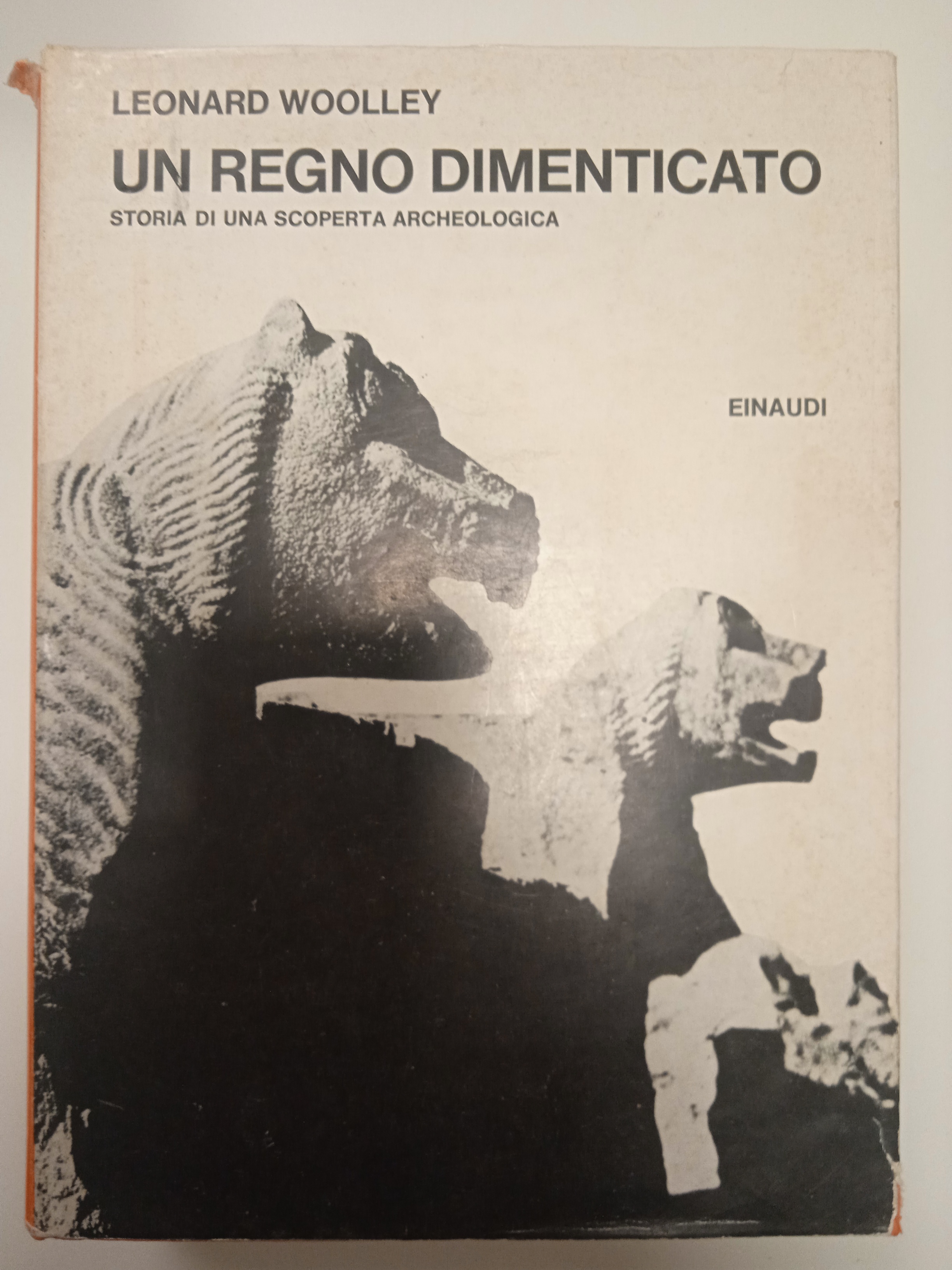 Un regno dimenticato storia di una scoperta archeologica