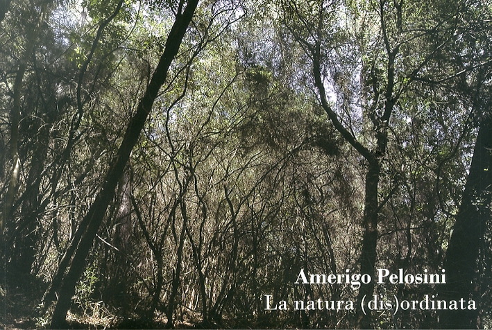 Amerigo Pelosini. La natura (dis)ordinata, Massarosa, Caleidoscopio, 2008