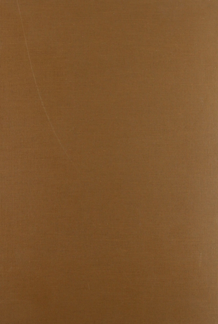 Annali degli Abruzzi dalle origini all'anno 1777. Vol. 2