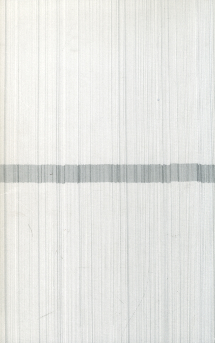 Biennale. Venedig 93. Christoph Rutimann