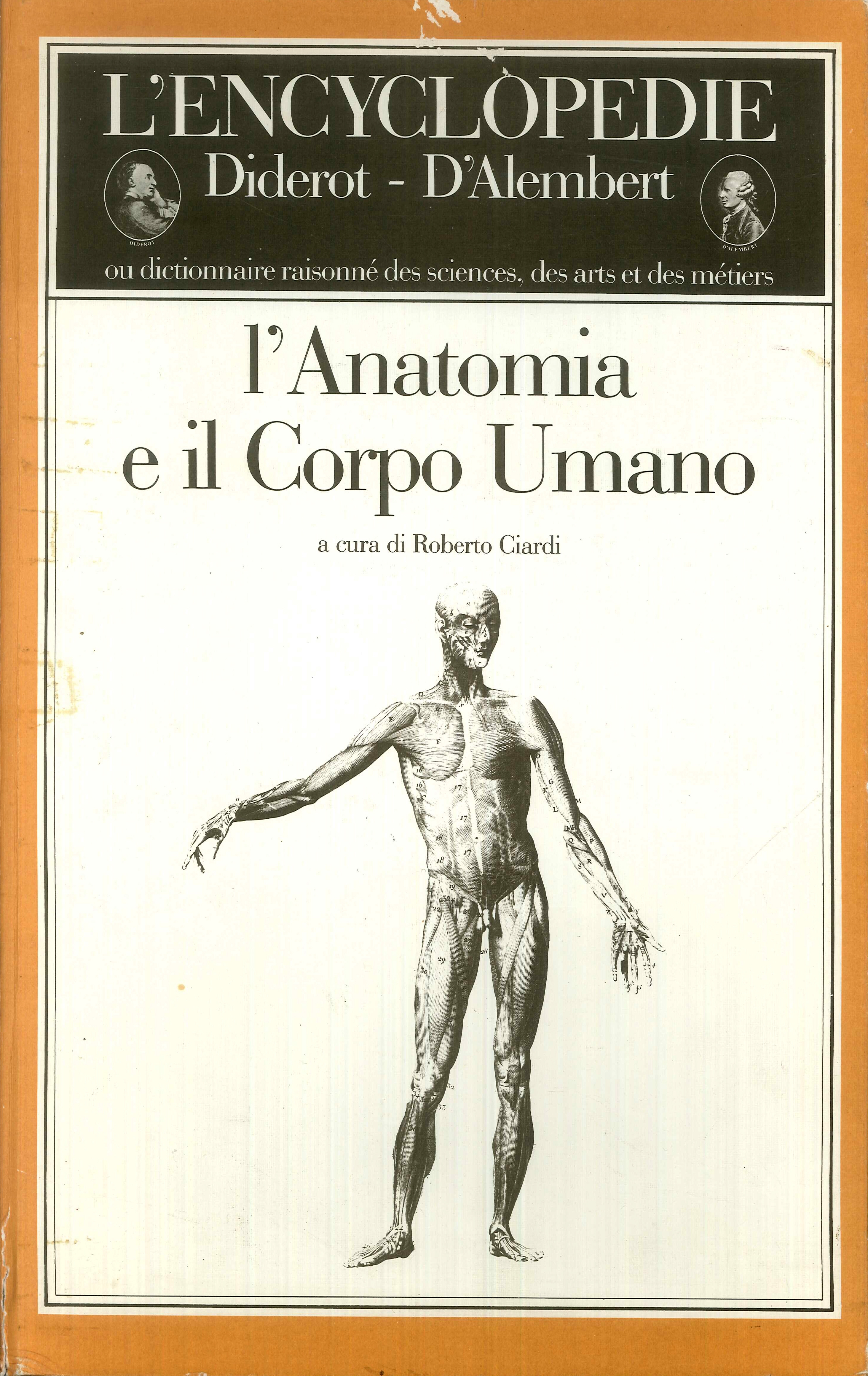 Collezione dell'Enciclopedia. L'anatomia e il corpo umano.