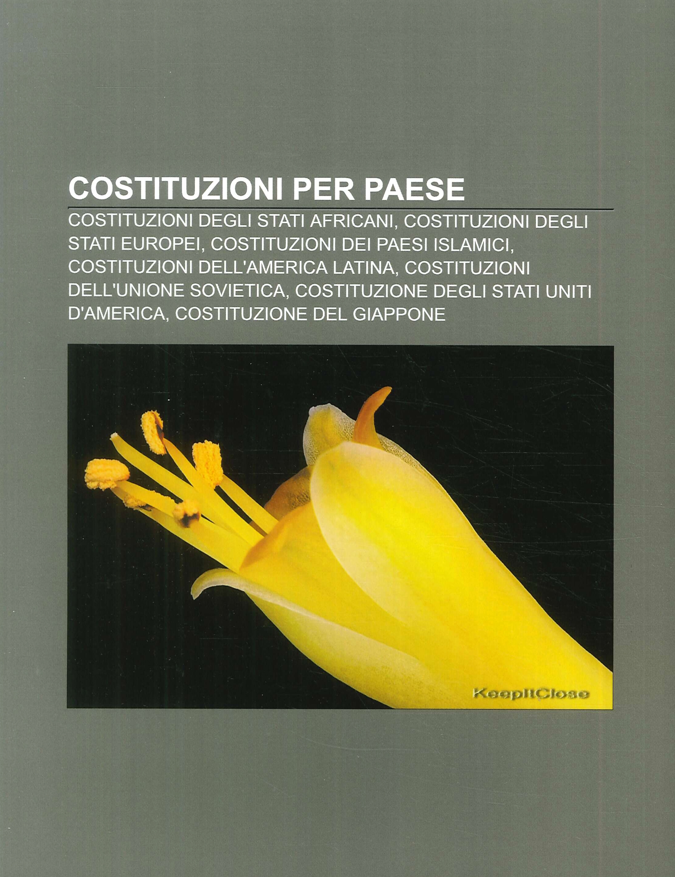 Costituzioni Per Paese: Costituzioni Degli Stati Africani, Costituzioni Degli Stati …