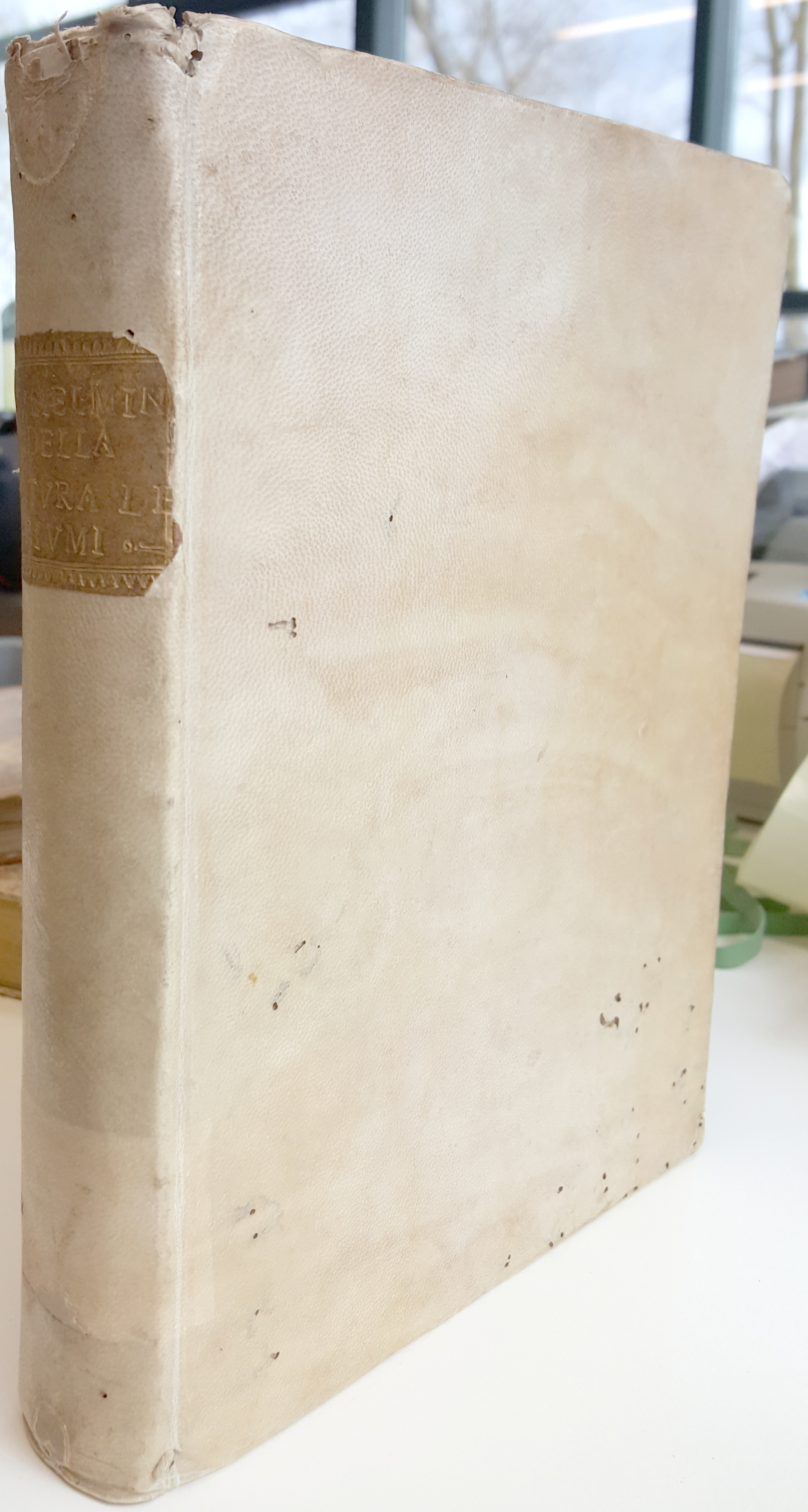 Della Natura De Fiumi Trattato Fisico-Matematico