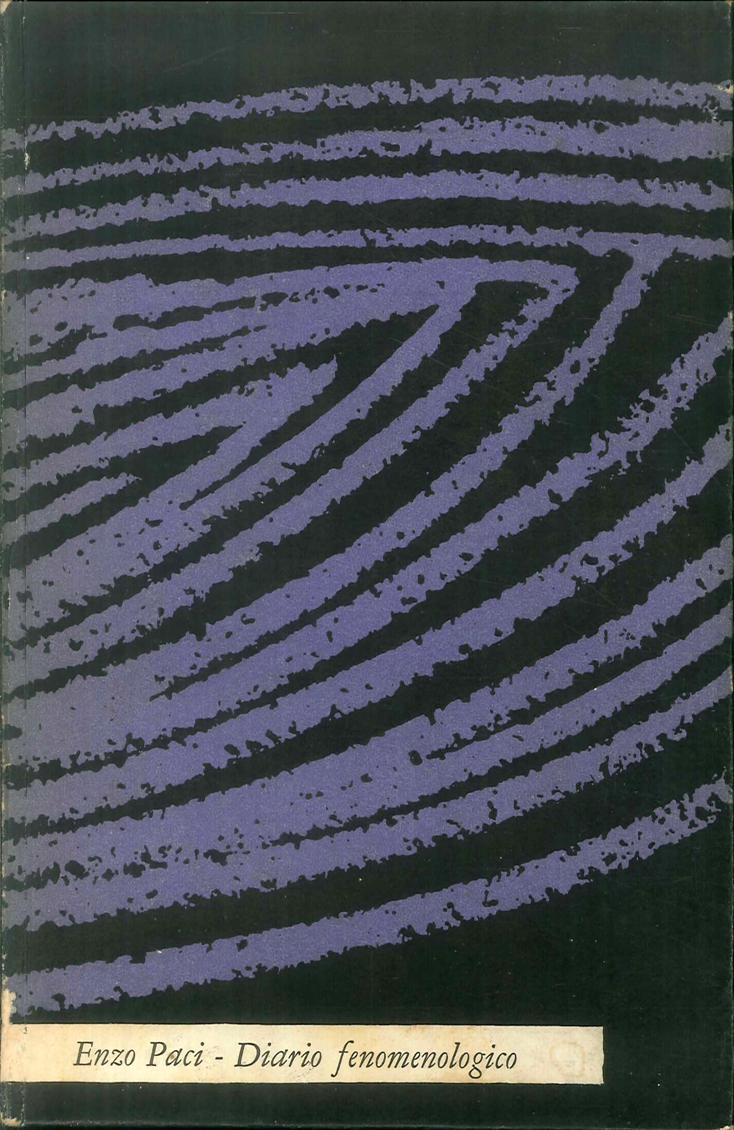 Diario Fenomenologico