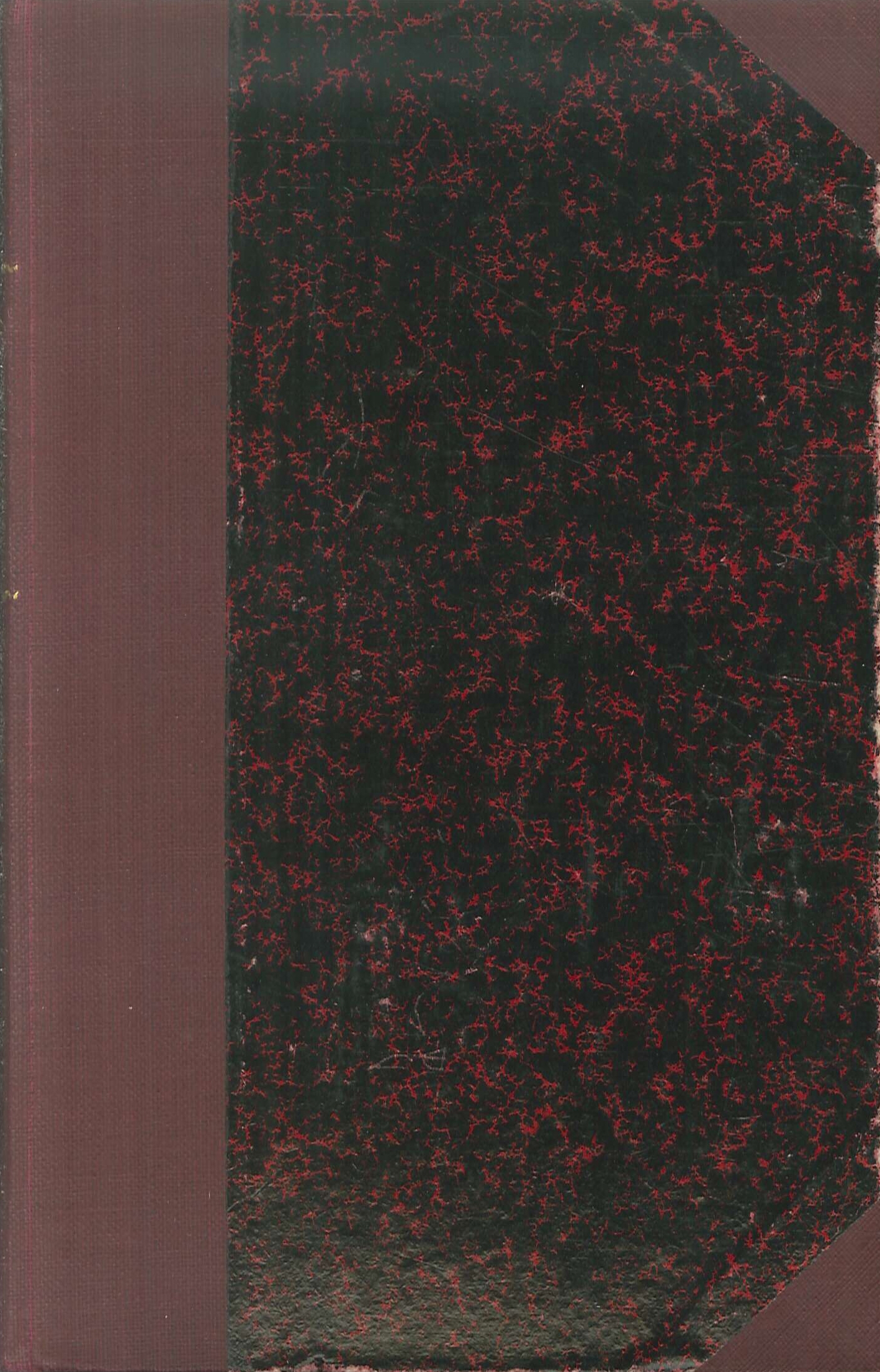 Donna. Discorsi e Conferenze