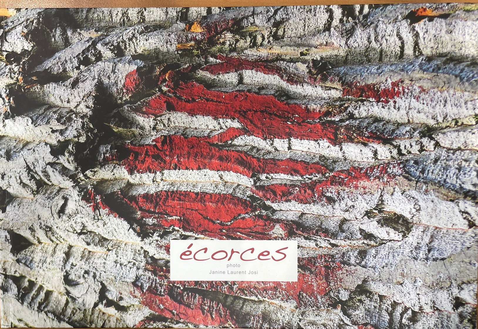 Ecorces. Photo Janine Laurent Josi