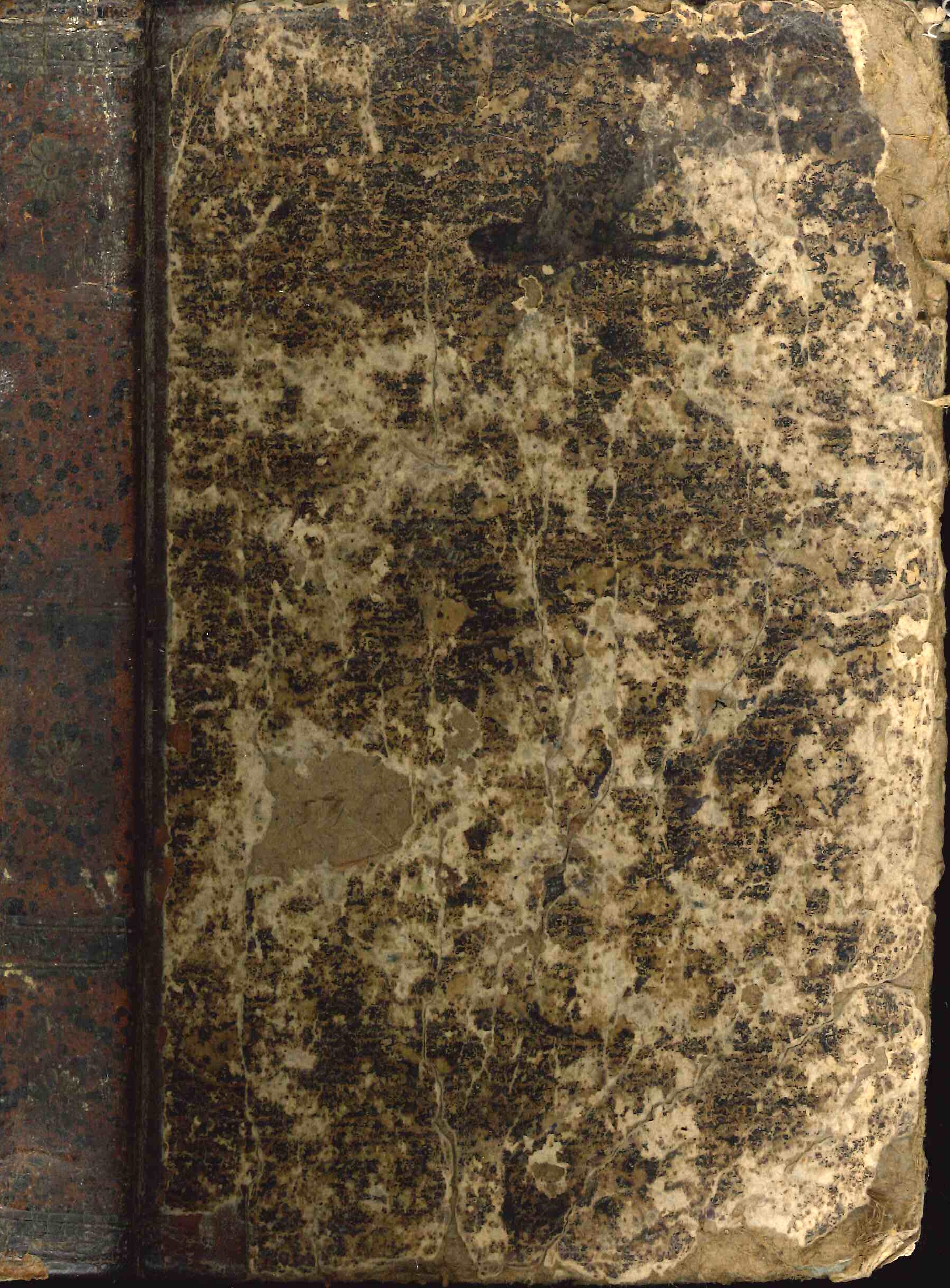 Ferdinando i per la Grazia di Dio Re del Regno …