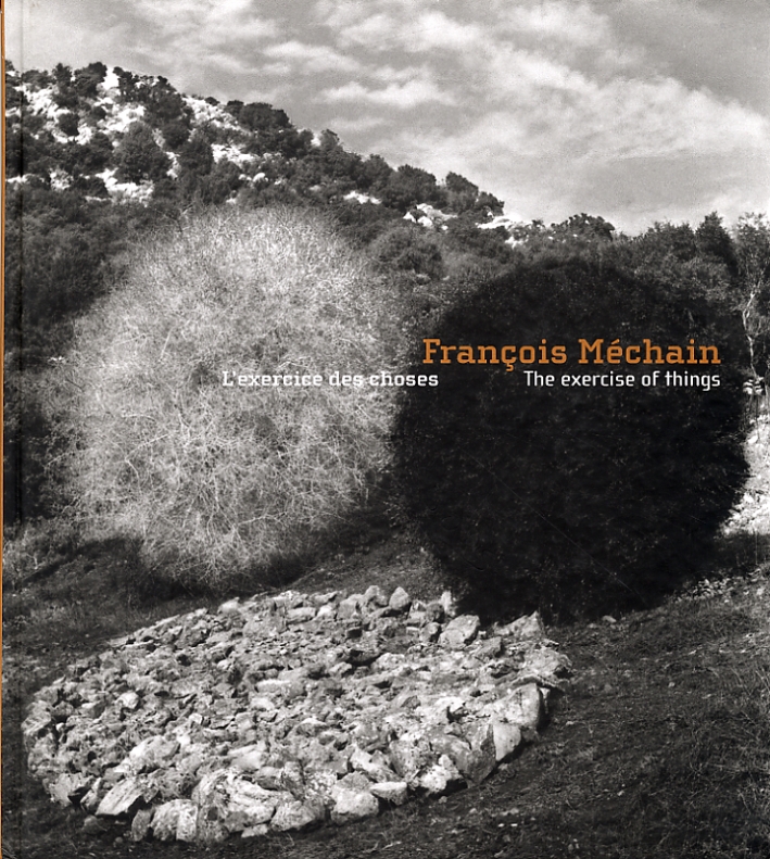 François Méchain, l'Exerice des Choses. The exercise of Things