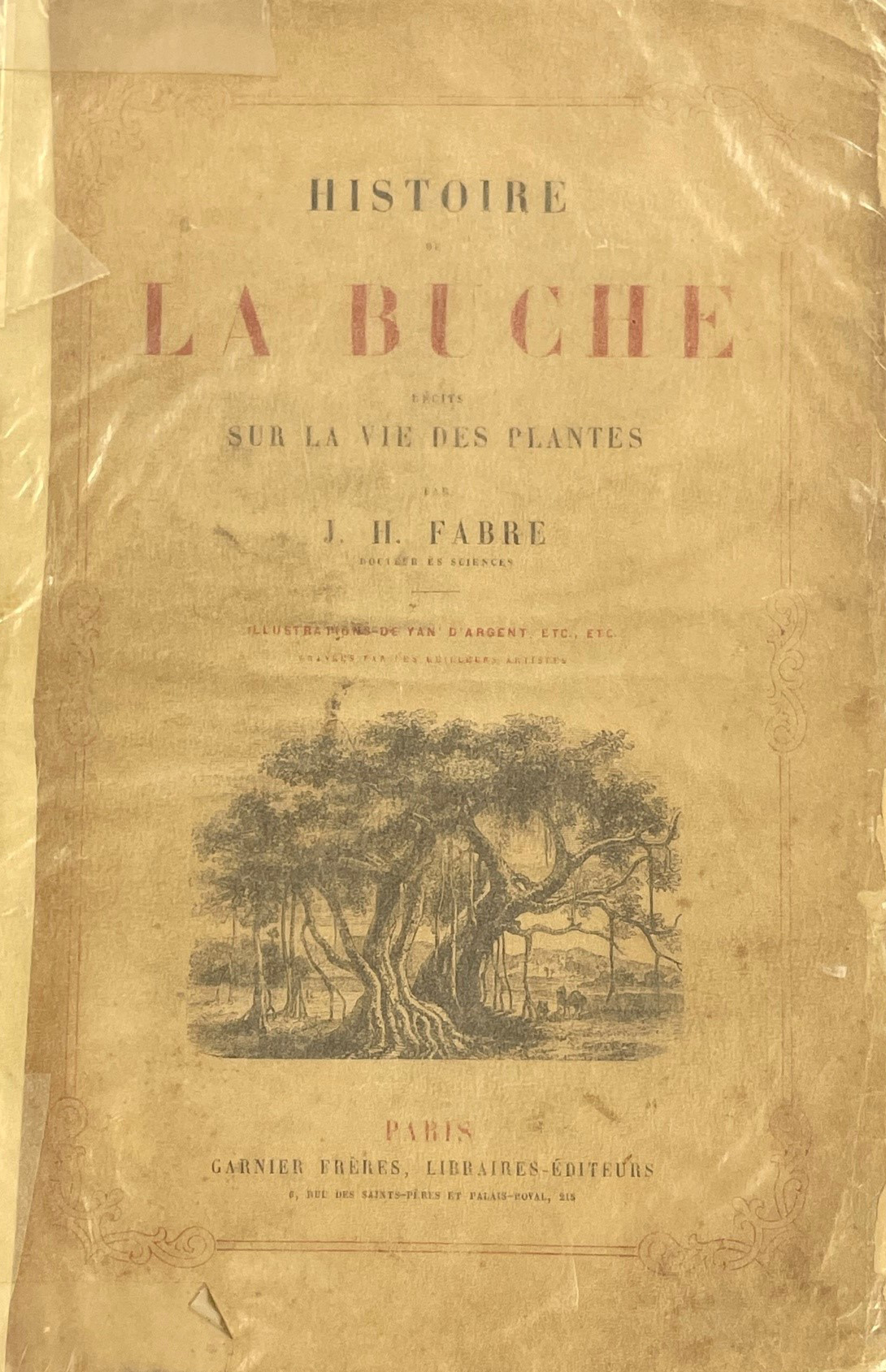 Histoire de la buche. Recits sur la vie des plantes.