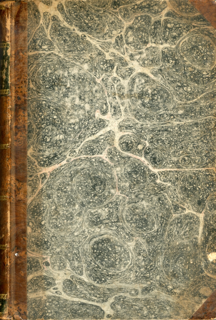 I Libri Poetici della Bibbia Tradotti dall'Ebraico Originale e Adattati …