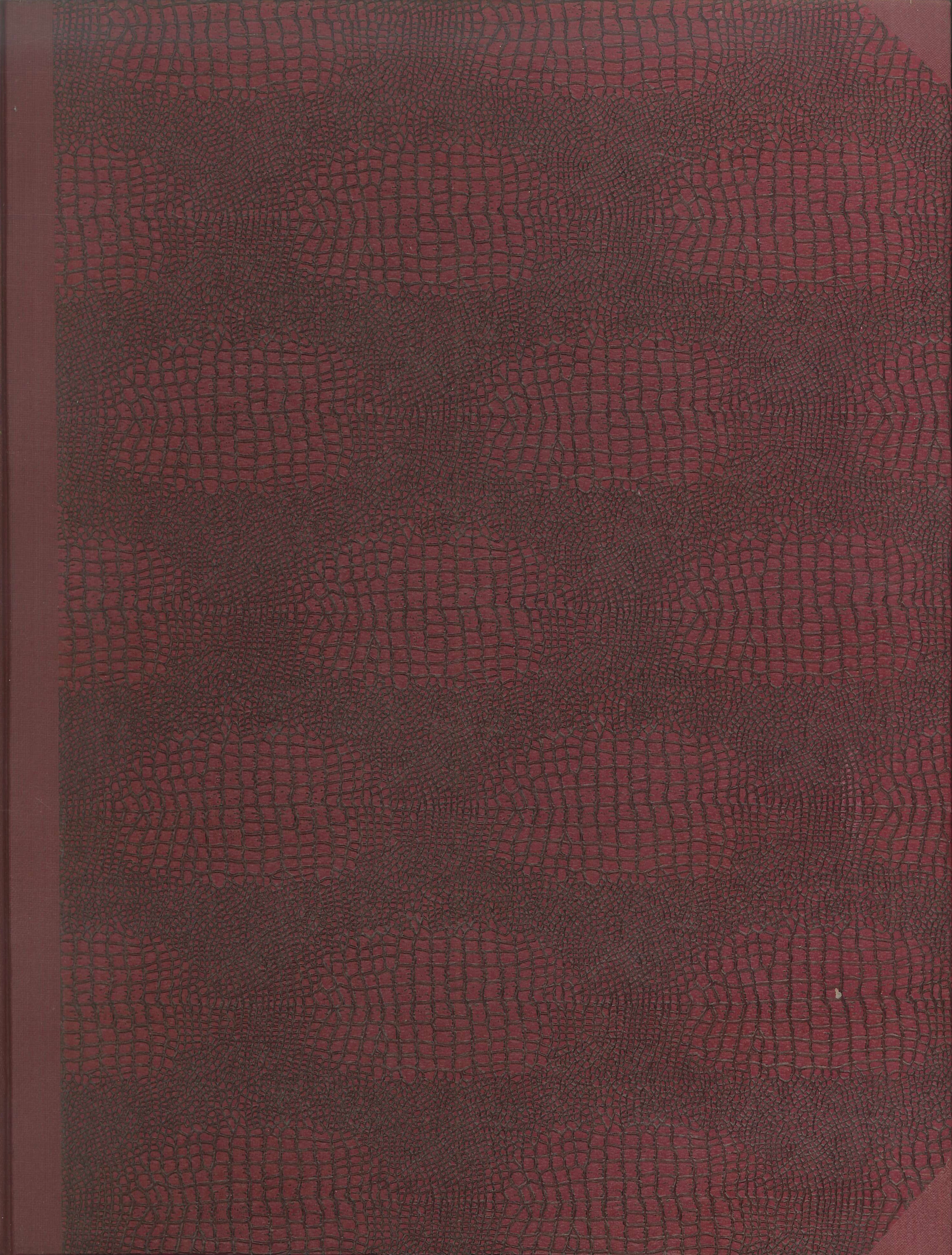 I Maestri della Pittura Italiana - 20 Fascicoli