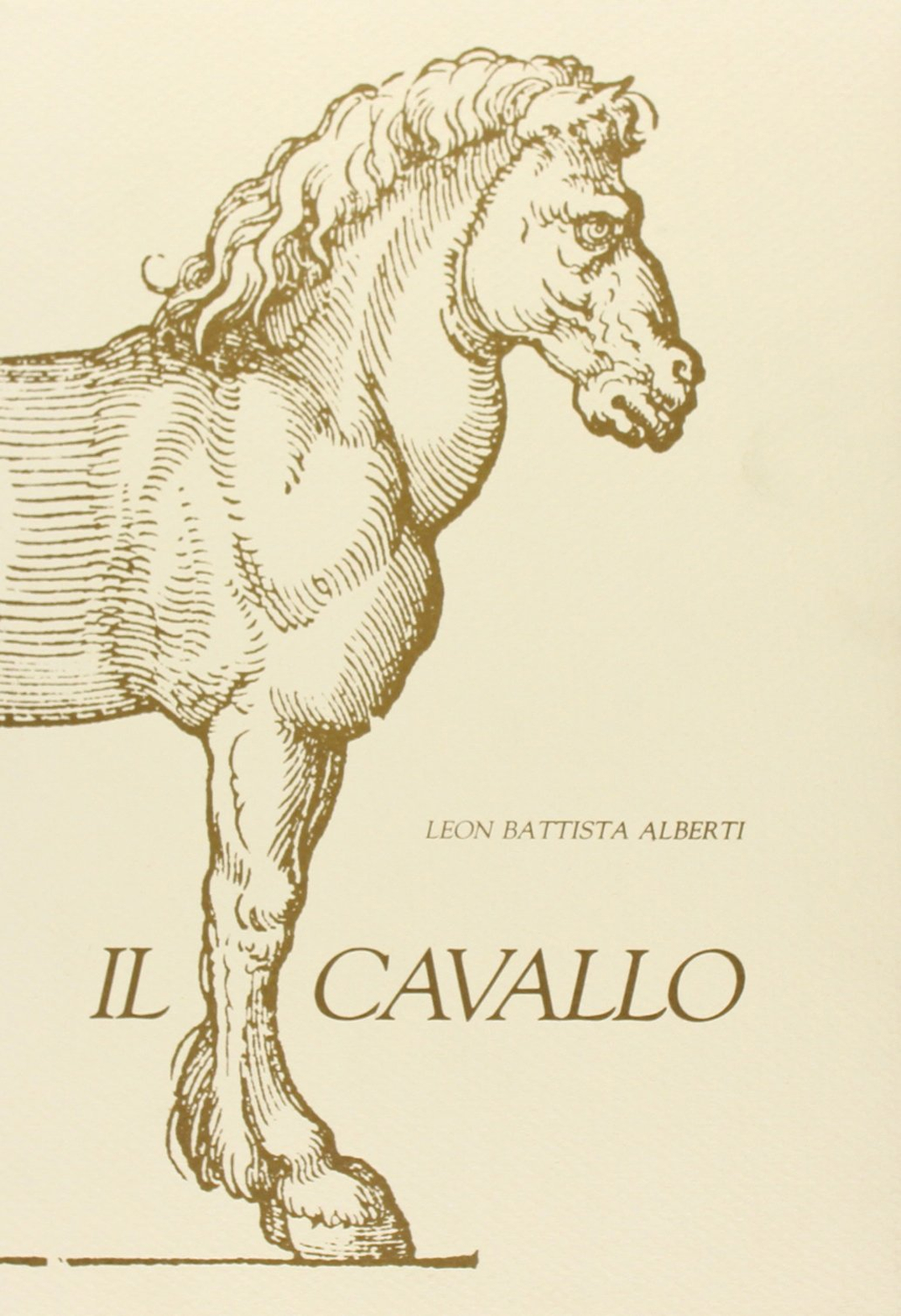 Il cavallo