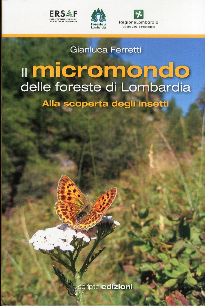 Il micromondo delle foreste di Lombardia. Alla scoperta degli insetti