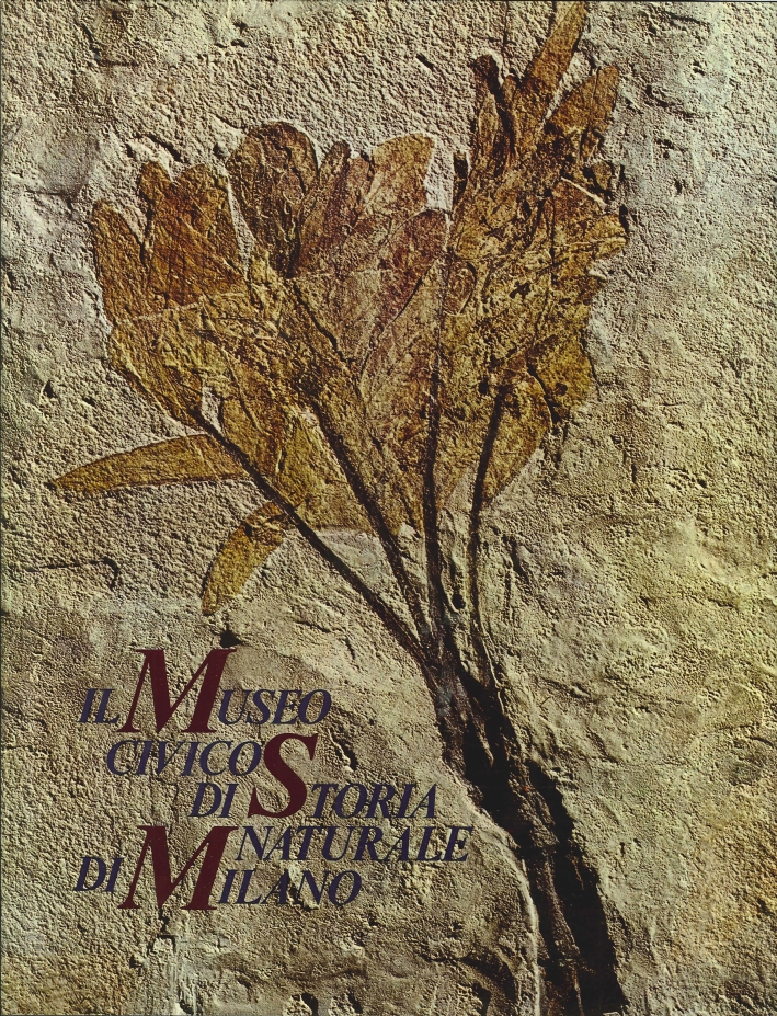Il Museo Civico di Storia Naturale di Milano