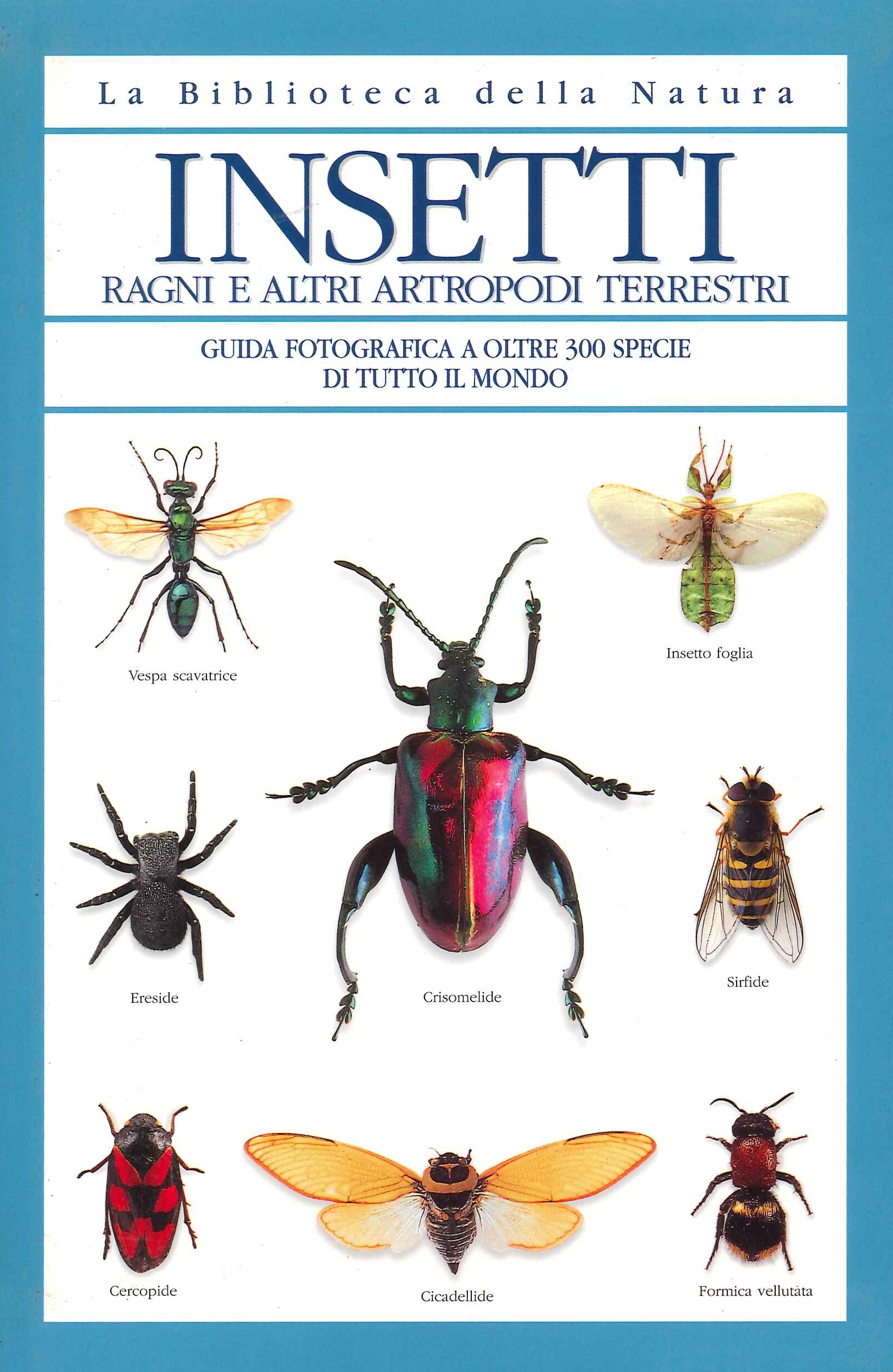 Insetti ragni e altri artropodi terrestri. Guida fotografica a oltre …