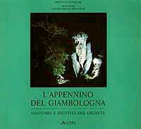 L'Appennino del Giambologna. Anatomia e identità del gigante