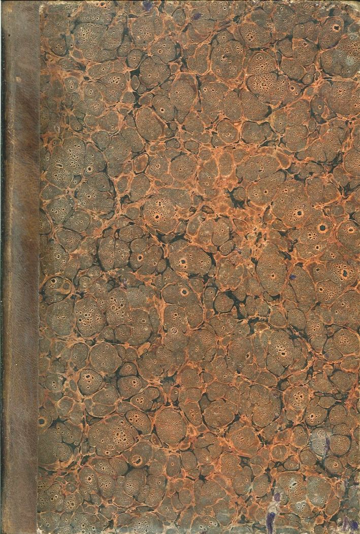 L'Archiconfraternita del Gonfalone