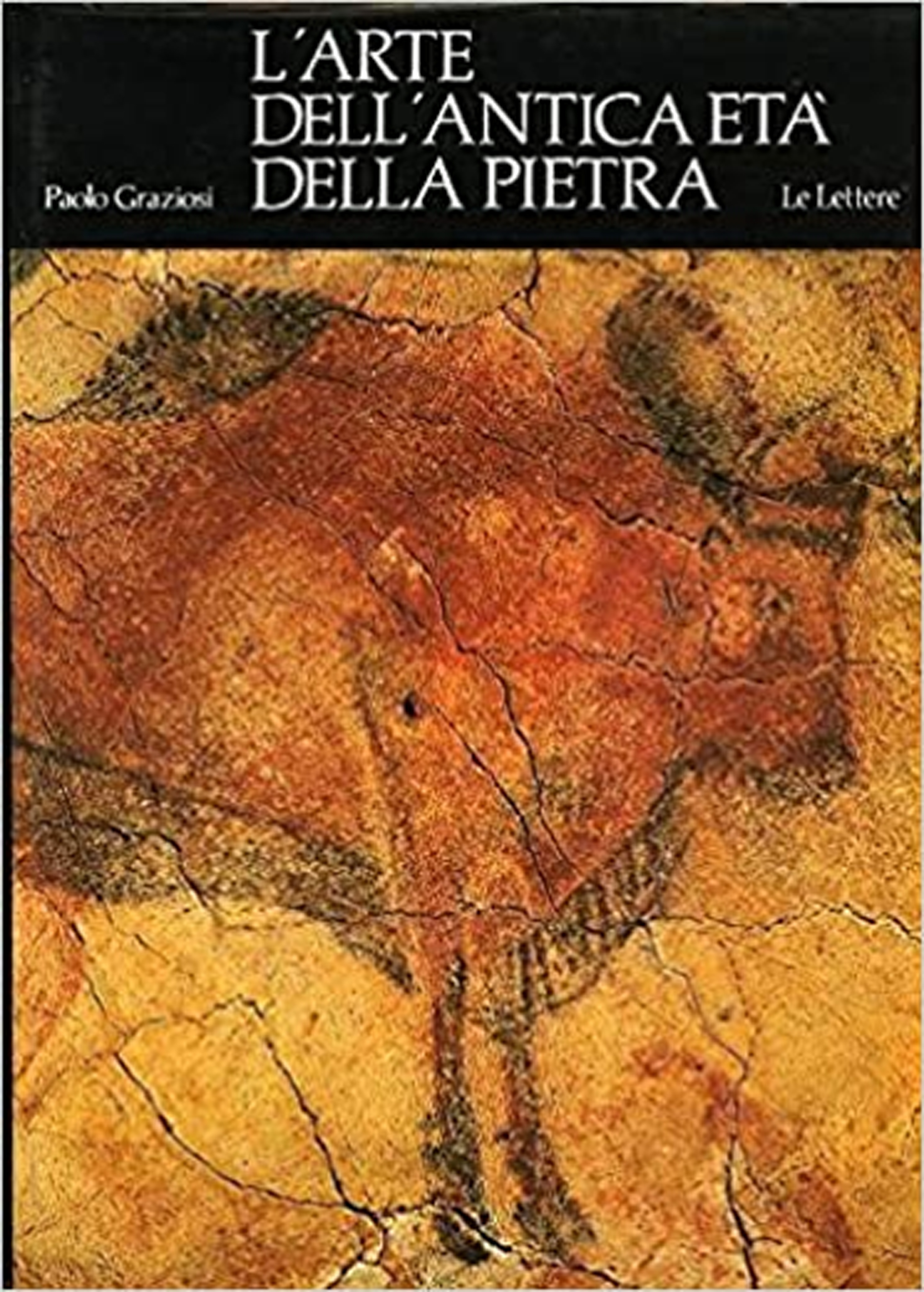 L'arte dell'antica età della pietra