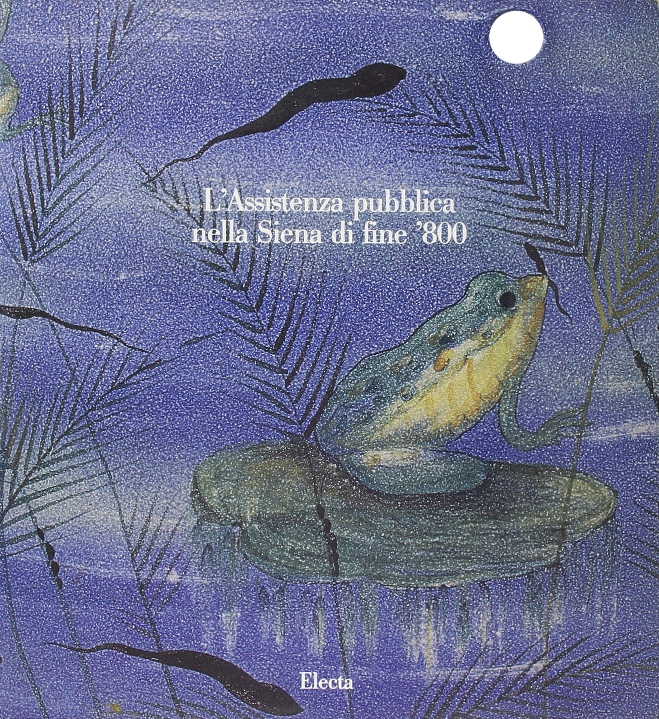 L'assistenza pubblica nella Siena di fine '800. Catalogo