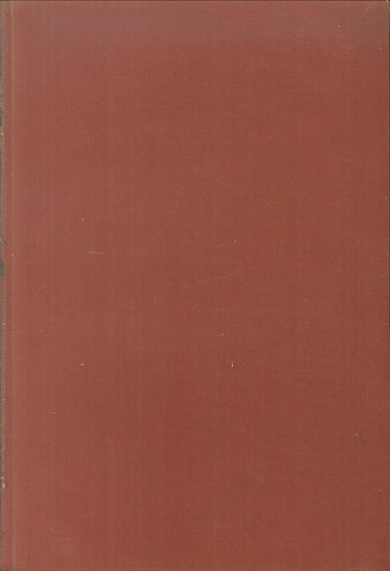 La giostra delle illusioni