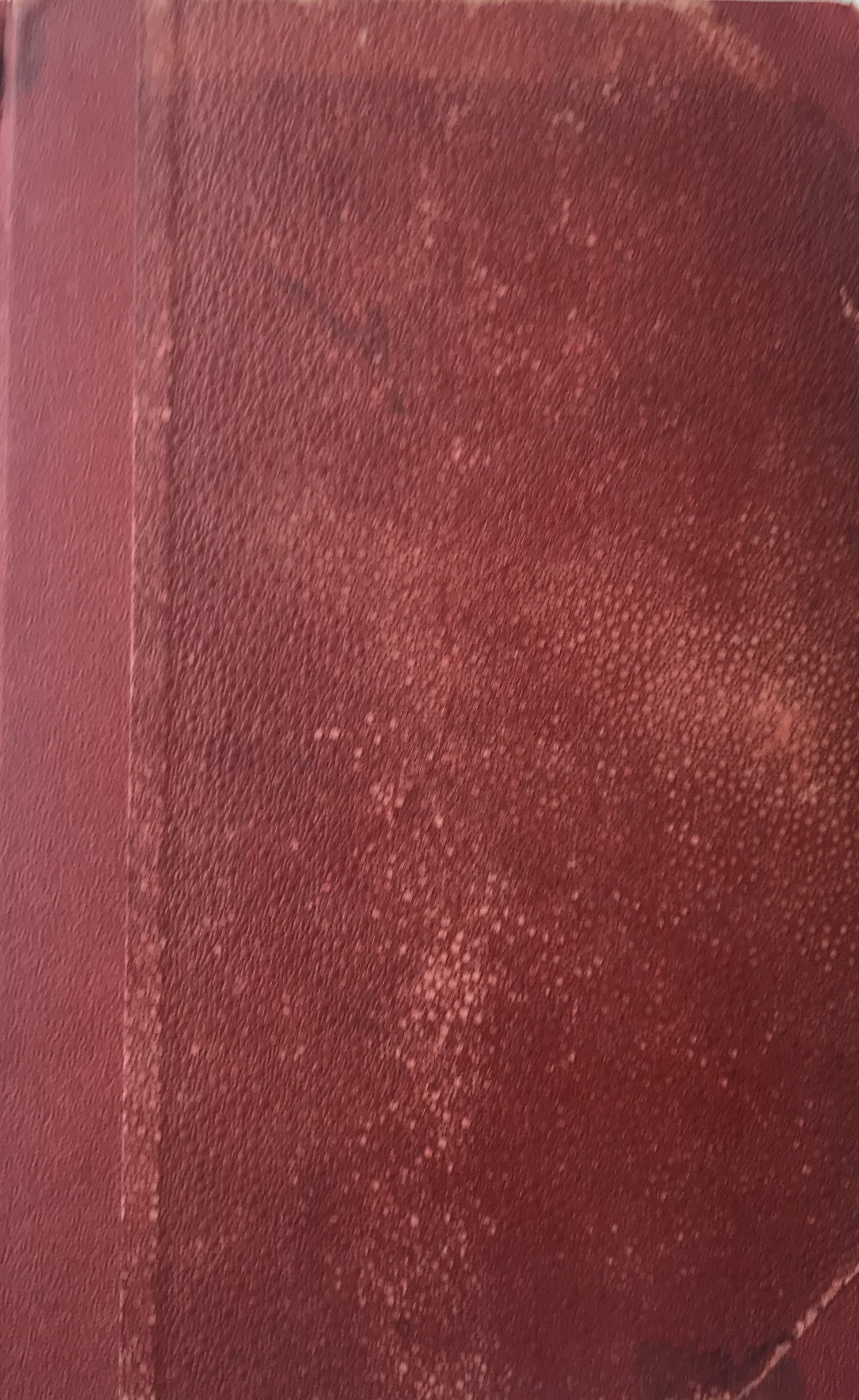 La moglie di sua eccellenza. Romanzo