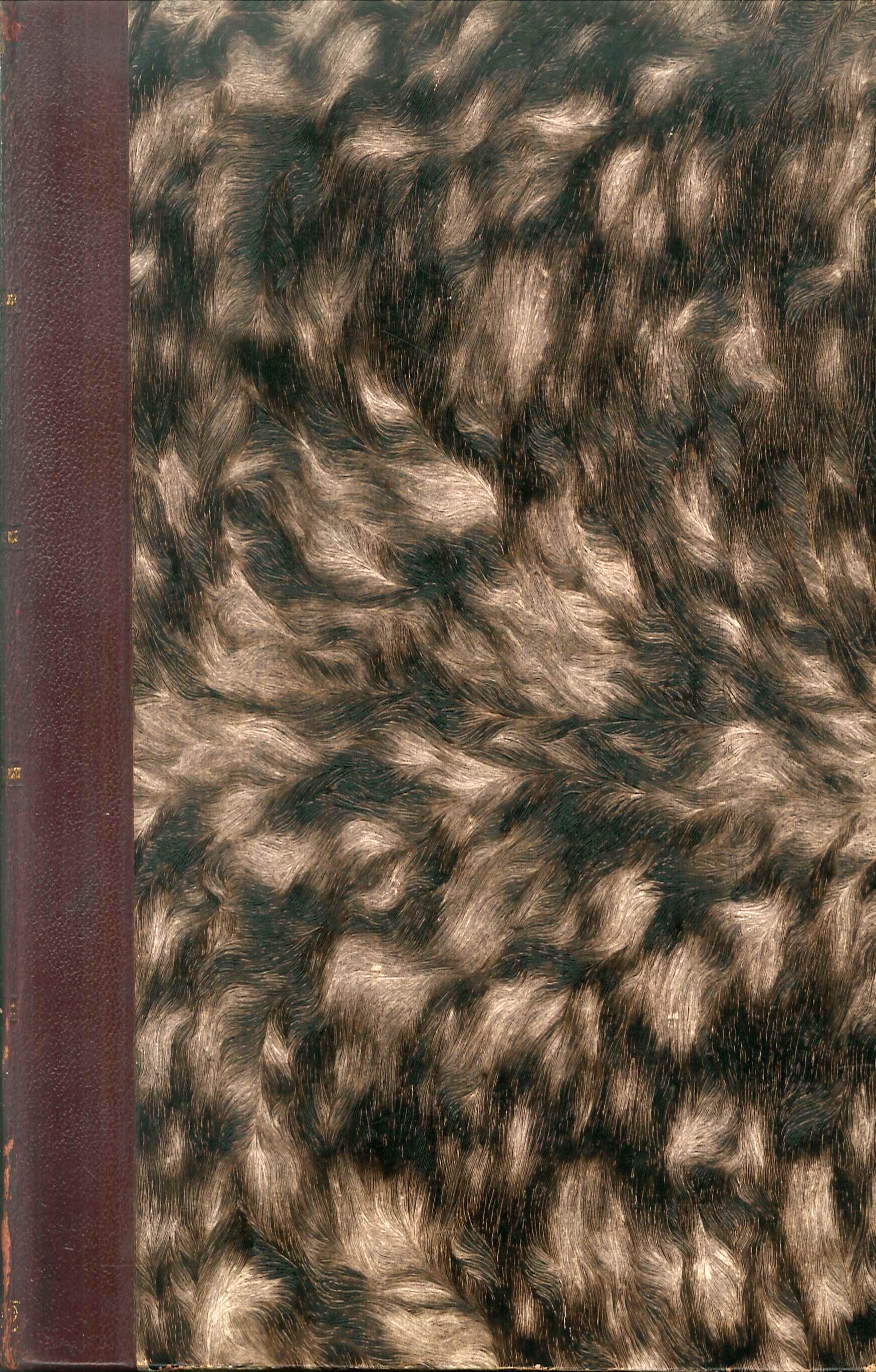 La passione adriatica nei ricordi di un irredento, 1928