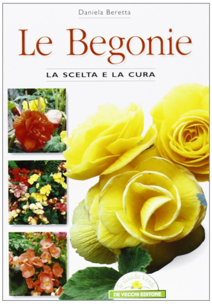 Le begonie