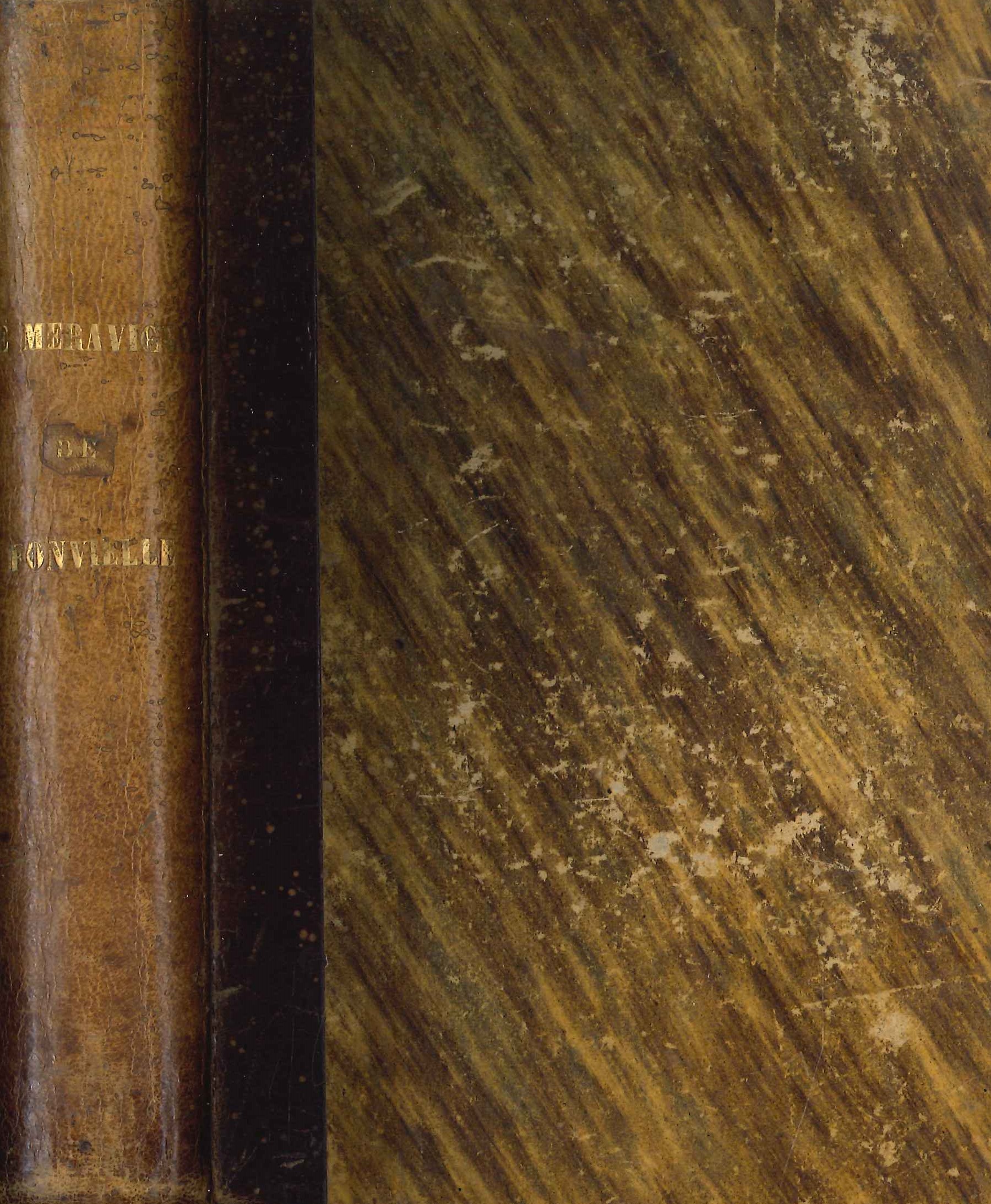 Le Meraviglie del Mondo Invisibile