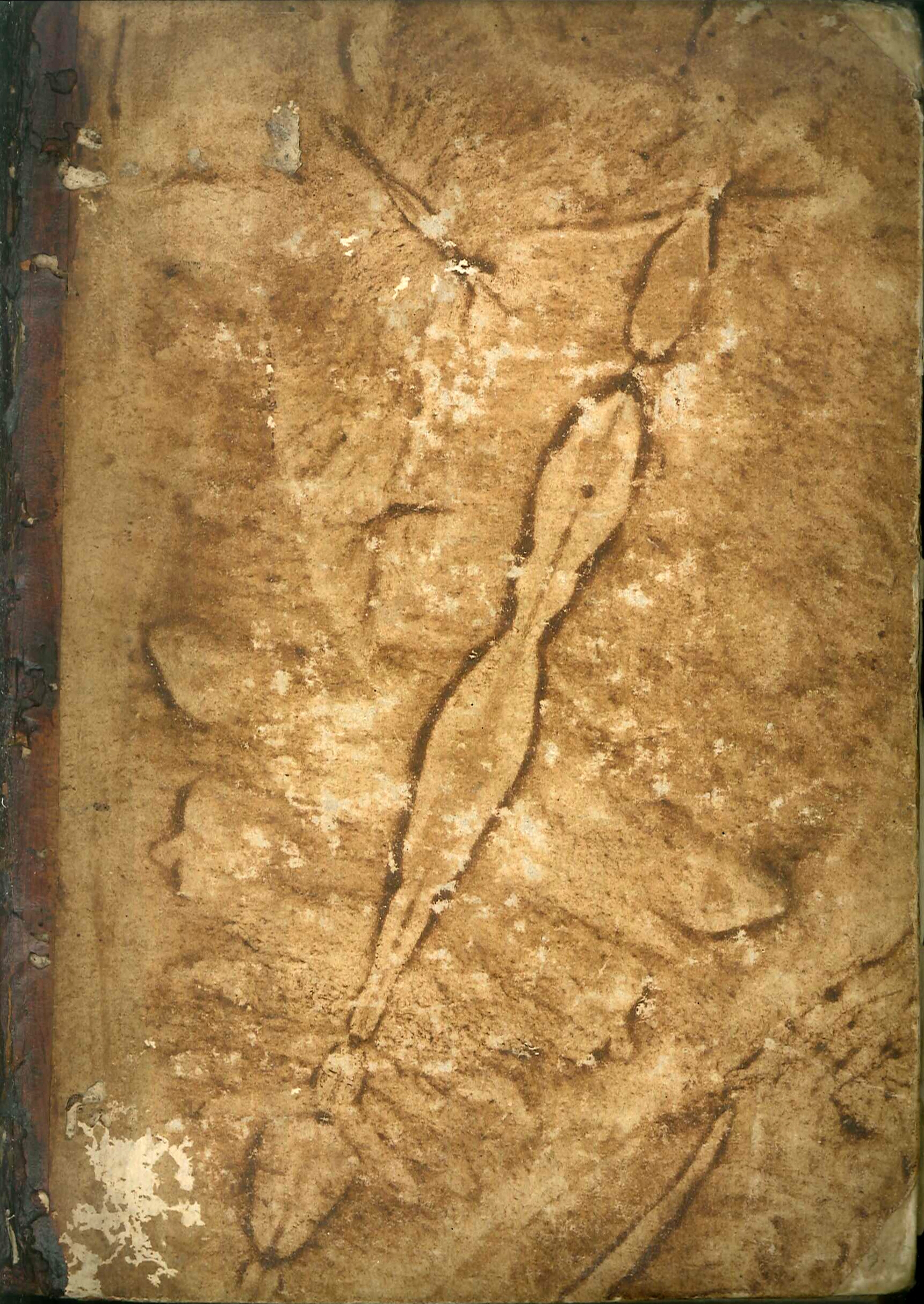 Le Metamorfosi d'Ovidio, Ridotte Da Giovanni Andrea dell'Anguillara in Ottava …