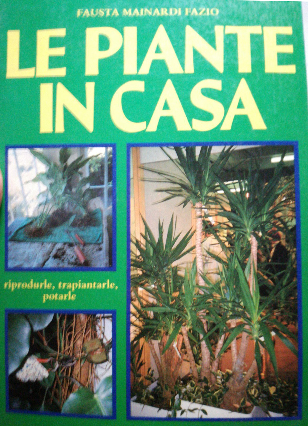 Le piante in casa. Riprodurre, trapiantare, potare