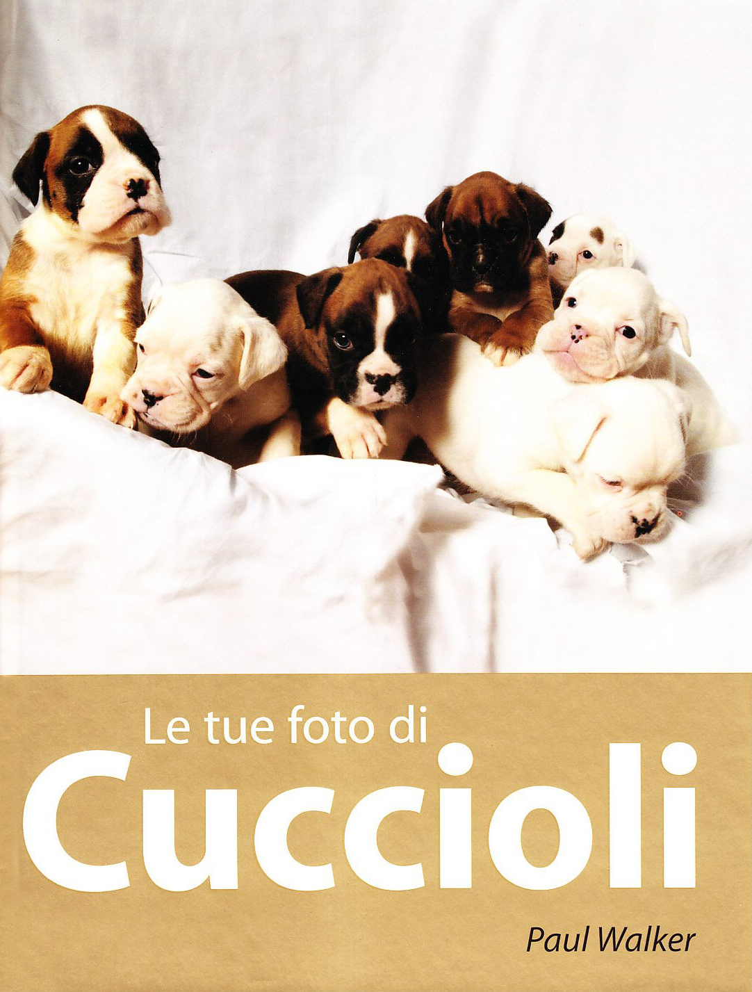 Le tue foto di cuccioli, Segrate, Mondadori Informatica, 2009