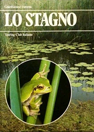 Lo stagno