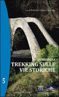 Lombardia. Trekking sulle Vie Storiche. Vol. 5