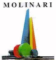 Molinari. Equivalenza plastica mutante. [Edizione Italiana e Inglese]