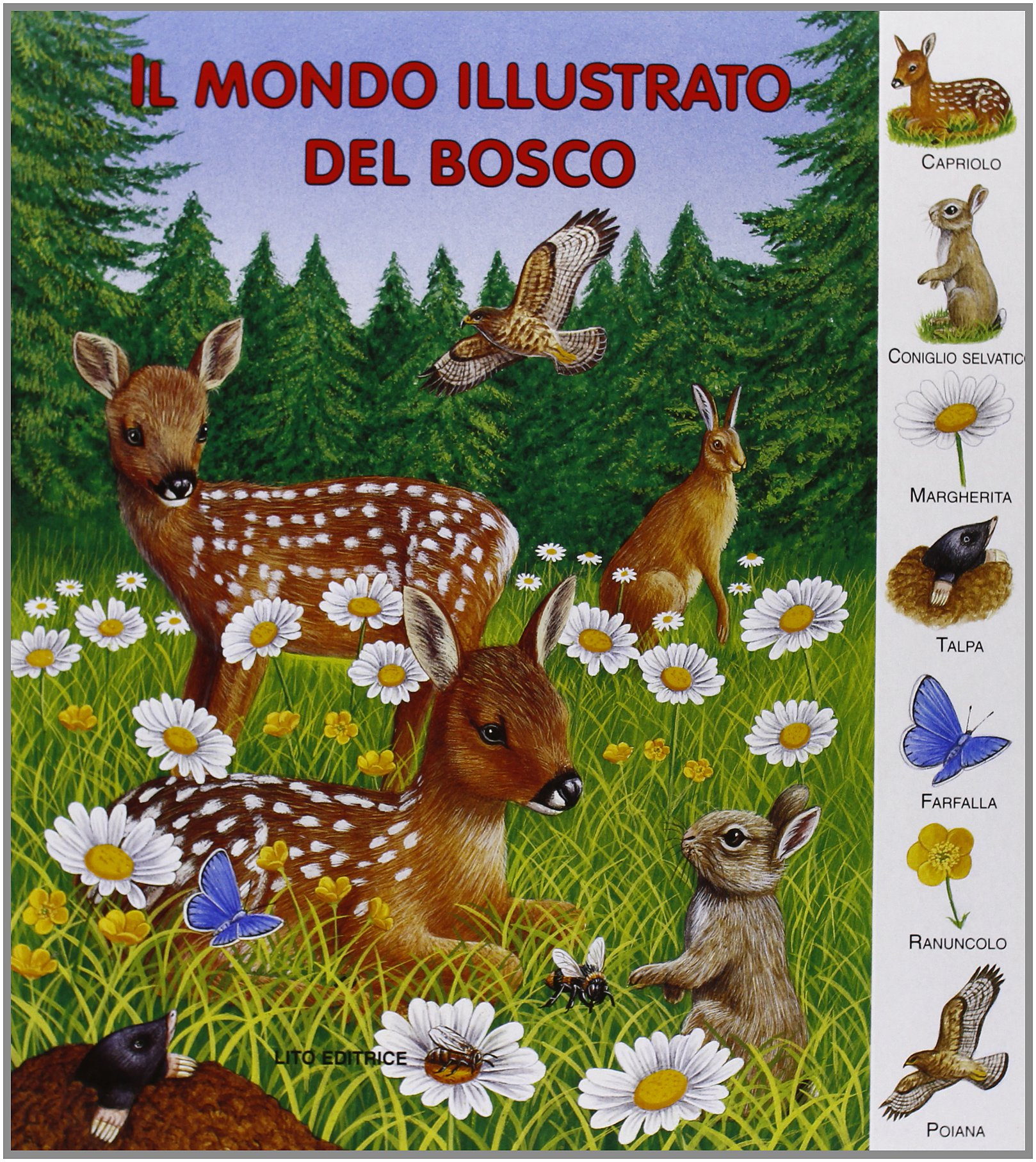 Mondo illustrato del bosco
