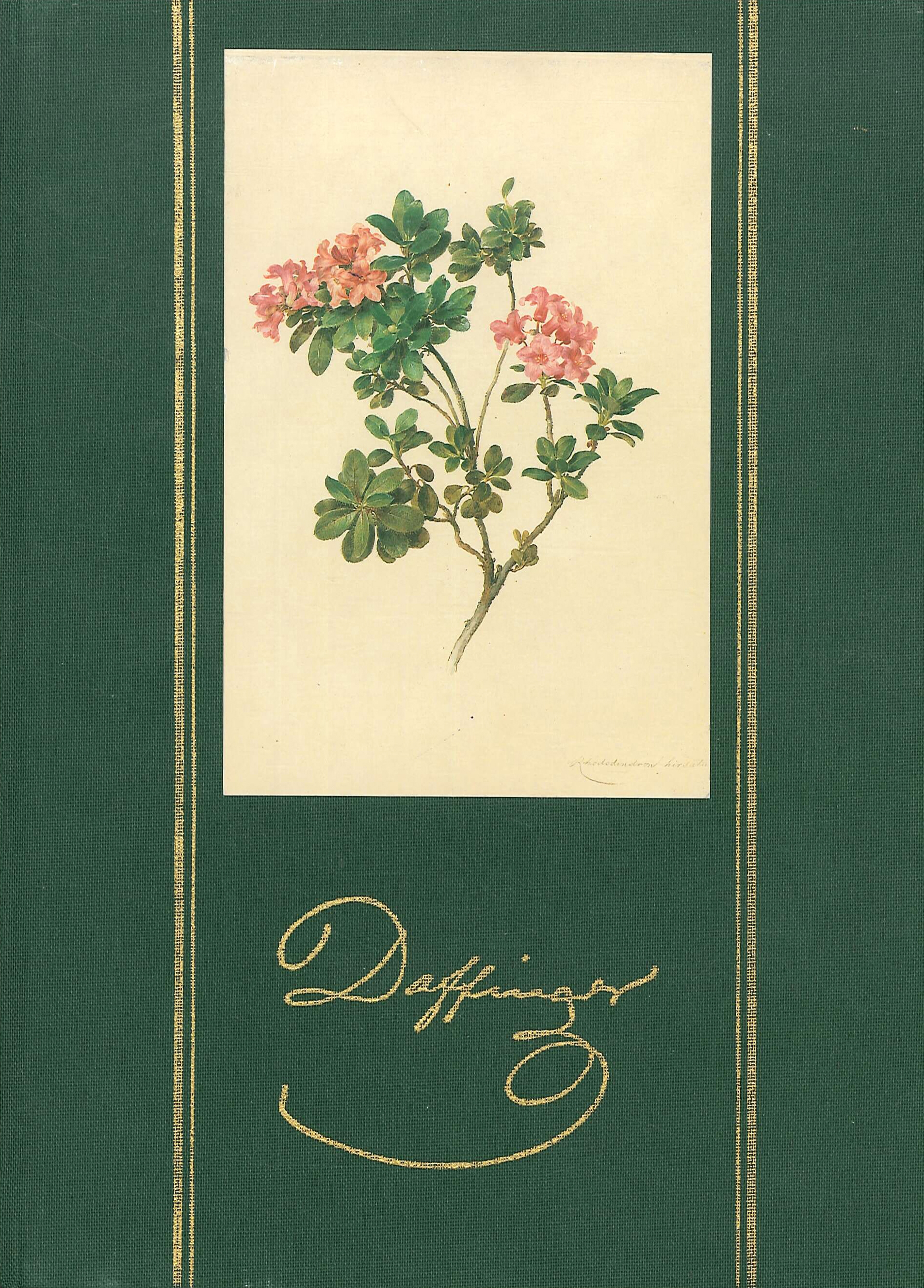 Moritz Michael Daffinger. Blumenzauber des Wiener Biedermeier. Zu 12 ausgewählten …