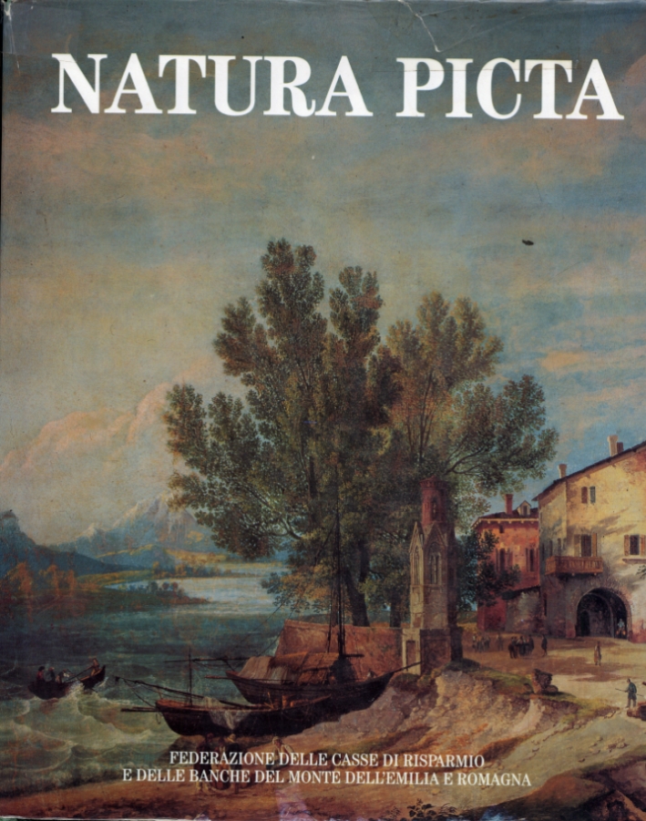 Natura Picta. Paesaggio e Immagini dell'Emilia Romagna nella Arti Figurative, …
