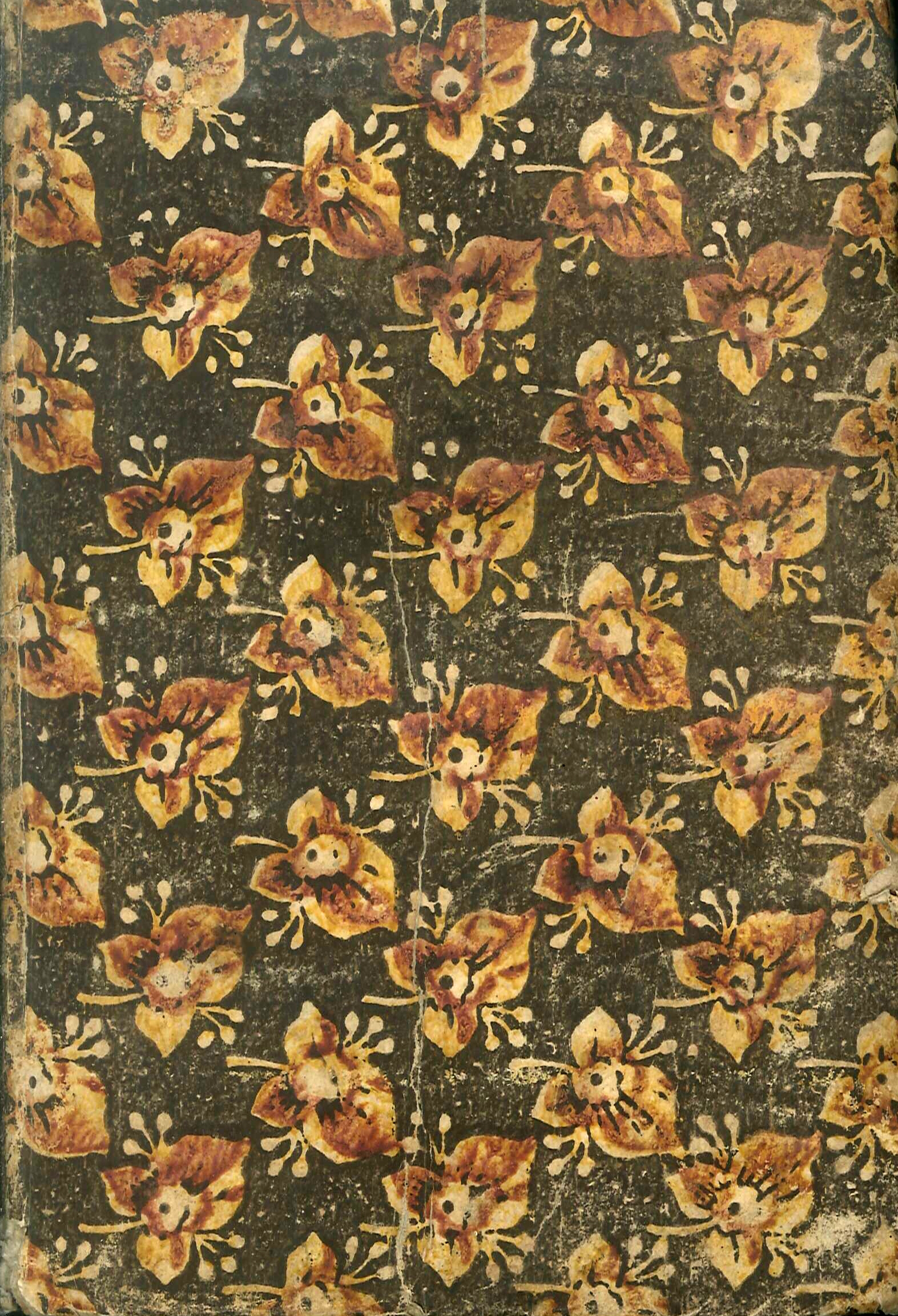 Nuovo Metodo d'Insegnare e di Apprendere con Facilita per Via …