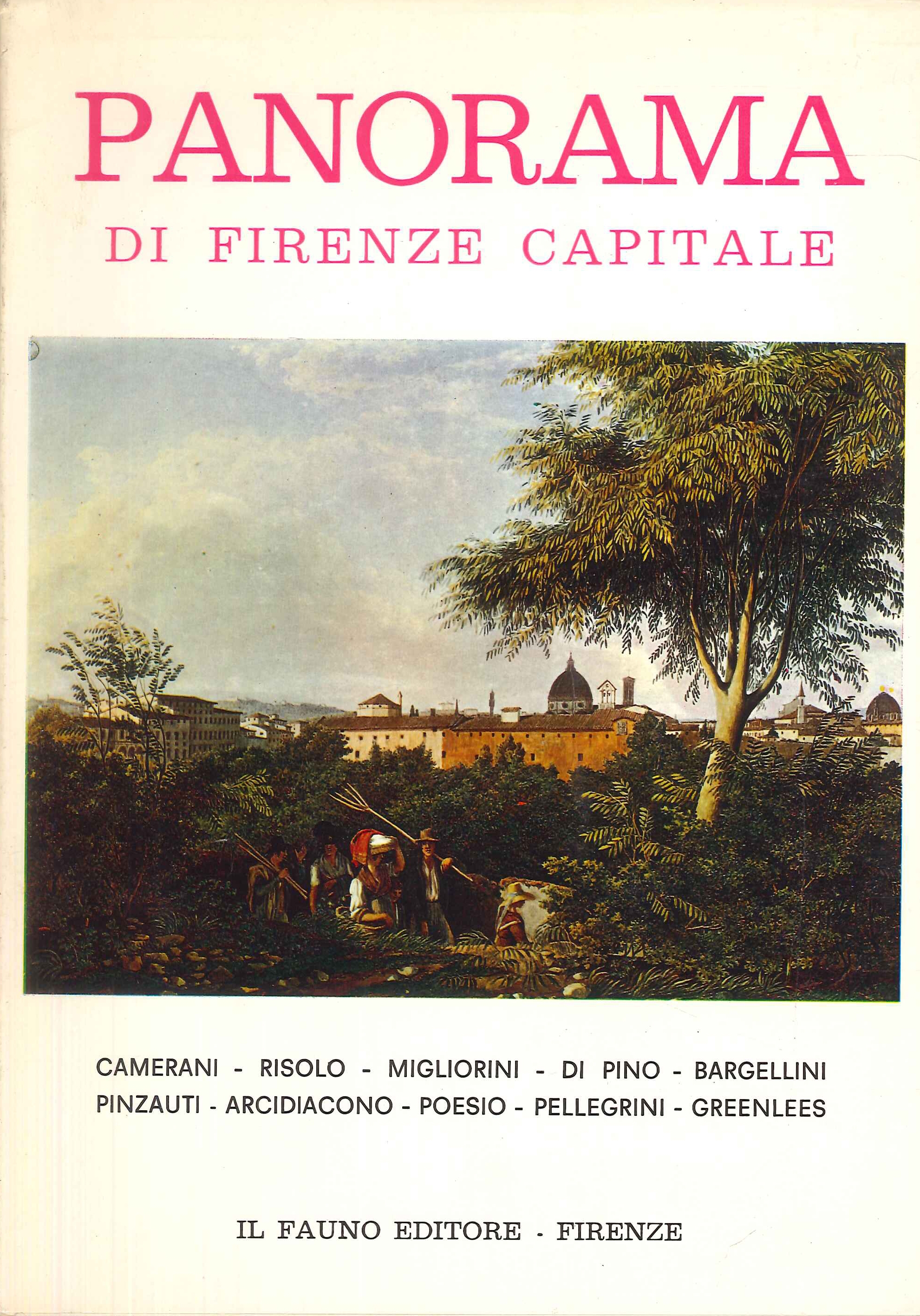 Panorama di Firenze capitale