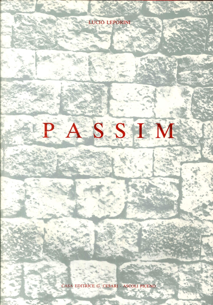 Passim. ossia ricerca di particolari significanti sparsi nel centro storico …