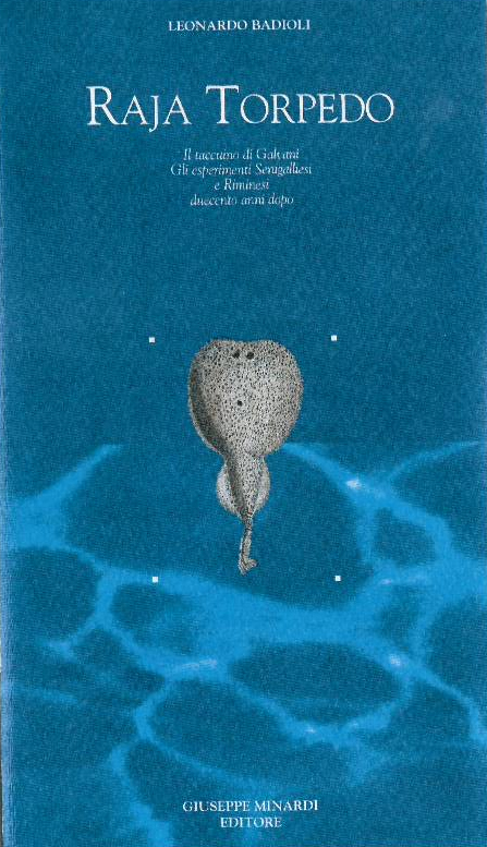 Raja Torpedo : il taccuino di Galvani, gli esperimenti senigalliesi …
