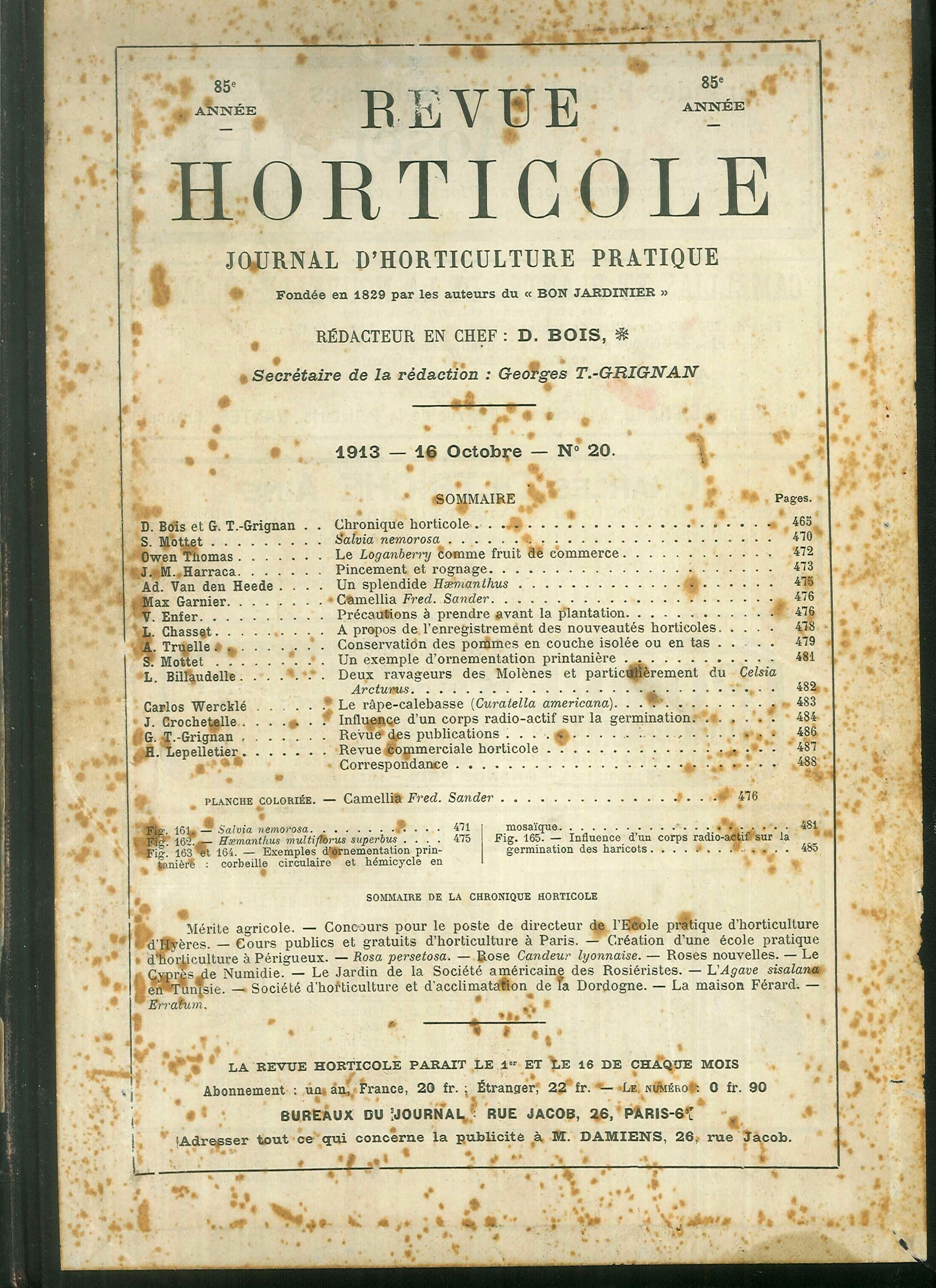 Revue Horticole. Journal d'Horticulture Pratique. 85° année - 1913.