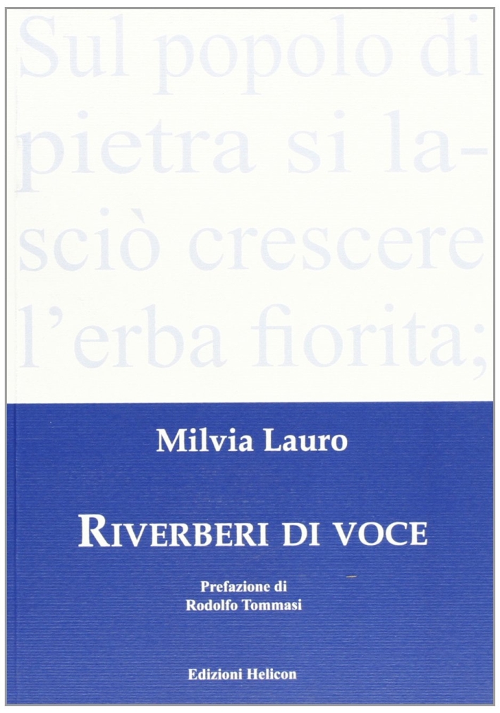 Riverberi di voce