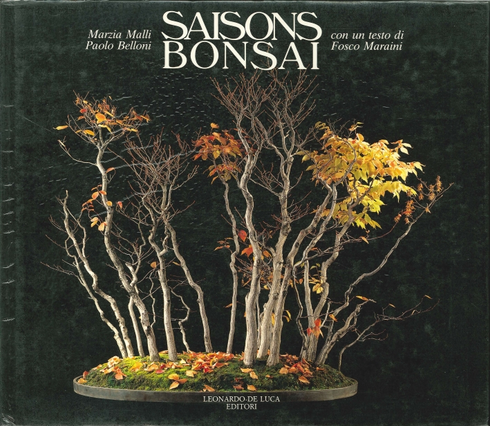 Saisons Bonsai