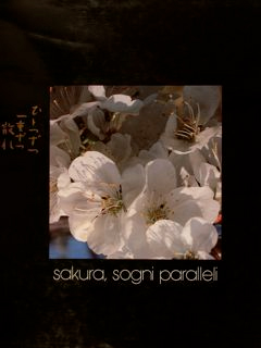 Sakura, sogni paralleli